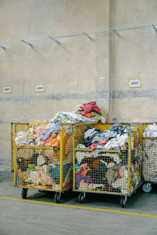 Reselling: Navigating the Past, Present, and Perception